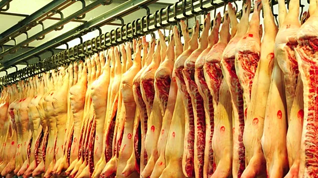 INS: Sacrificările de animale și păsări și producția de carne