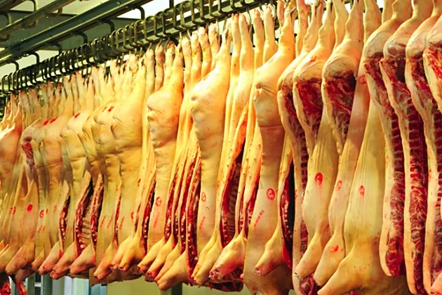 Rabobank: Estimările pentru producția de carne de porc indică revenirea la profitabilitate
