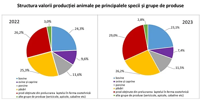 INS: Valoarea producției ramurii agricole în anul 2023 (Date definitive)