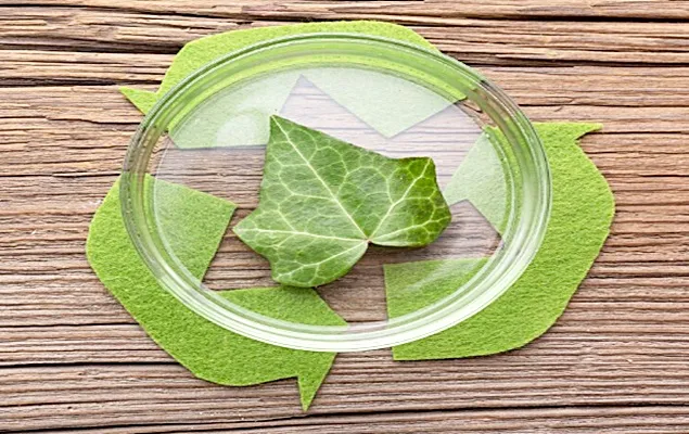 Deloitte: Economia circulară în retail. De unde începe schimbarea?