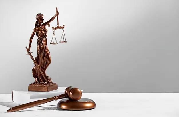 Curtea Europeană de Justiție: Plafonarea adaosului comercial la alimente contravine legislației UE
