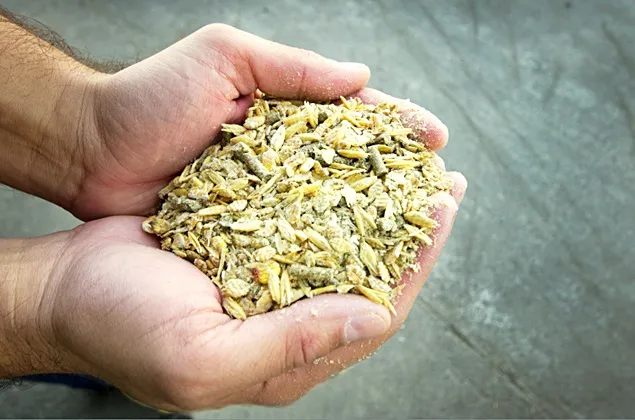 Evoluția pieței vitaminelor pentru animalele de fermă