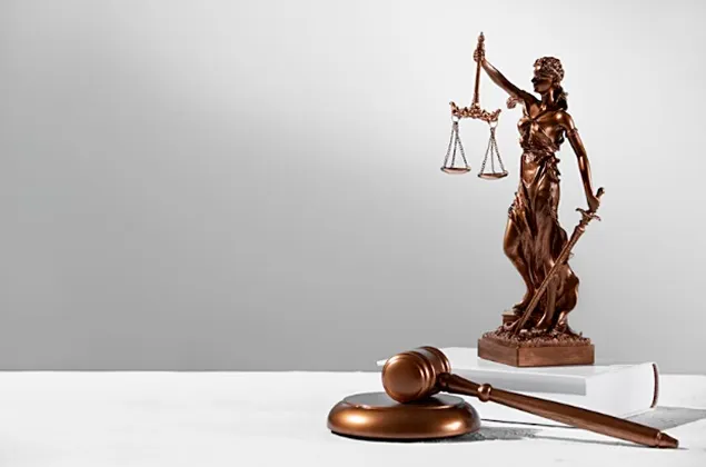 COPA-COGECA: CEJ să trebuie clarifice etichetarea produselor de origine animală