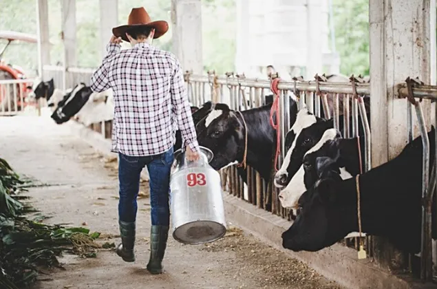 Chiar vor consumatorii să plătească mai mult mai mult pentru bunăstarea animalelor?