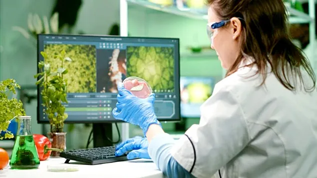 O urgență: Adoptarea biotehnologiei și bioproducției în UE