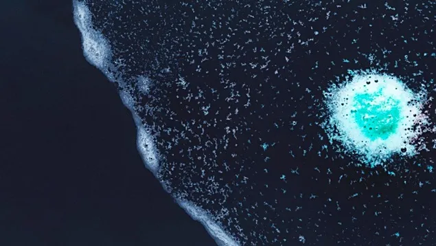 Cum și de ce microplasticele modifică microbiomul intestinelor umane?