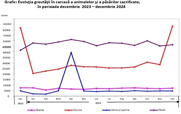 INS: Sacrificările și producția de carne în anul 2024 (Date parțiale)