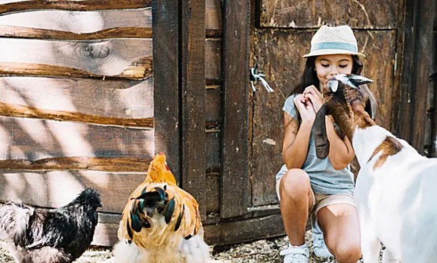 Se cere înăsprirea măsurilor de bunăstare animală în fermele europene