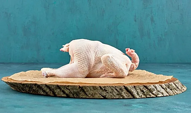 Artificial intelligence enters the poultry processing sector