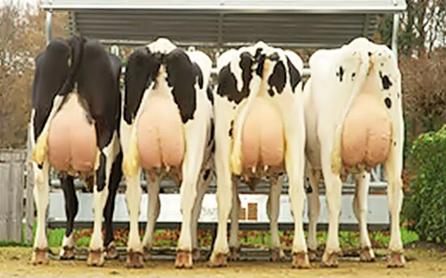 Semtest BVN Mureș va participa la Conferința Internațională Meat.Milk. 2025