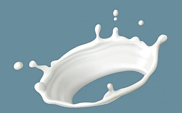 Rabobank: 2025 will be a year of sustainable growth in the milk market