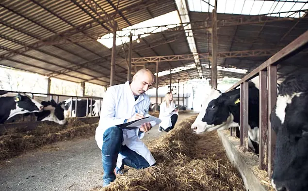 Most feed amino acid prices have reached historic lows