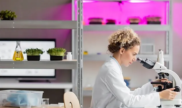 The transition of fermented foods from the lab to the factory and onto the store shelf