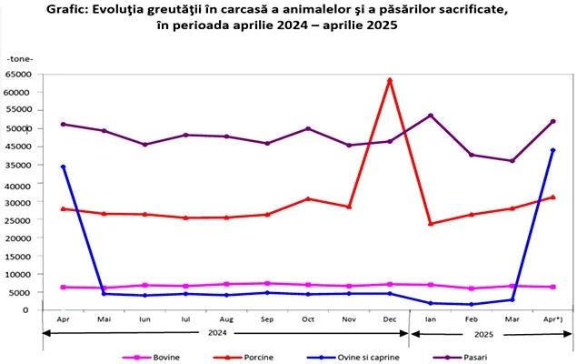 INS: Sacrificările de animale și păsări și producția de carne
