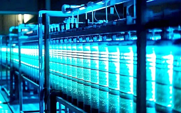 Do SMEs in the dairy sector still have a chance against the processing giants?