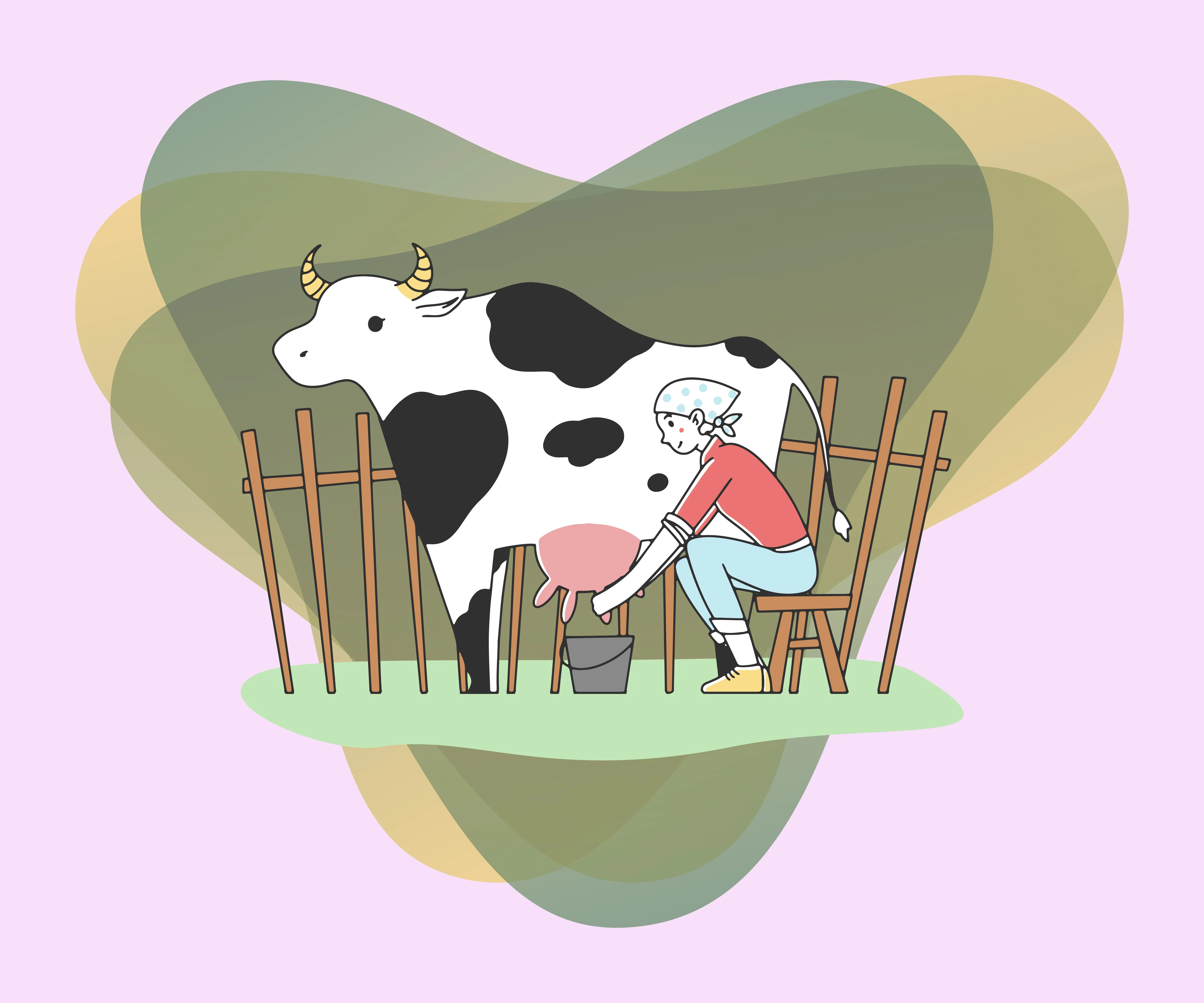 Milk production and processing in Romania: between tradition and modernization