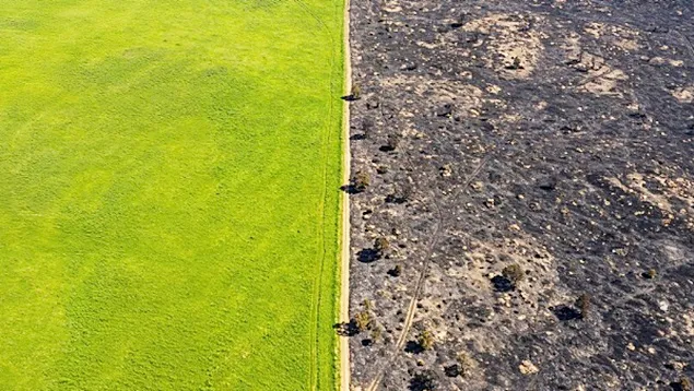 Food industry, main topic in climate talks ahead of COP30 forum