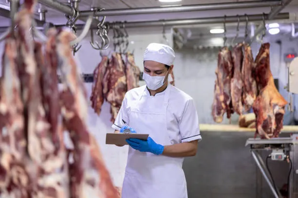Digitalization in the Romanian meat industry