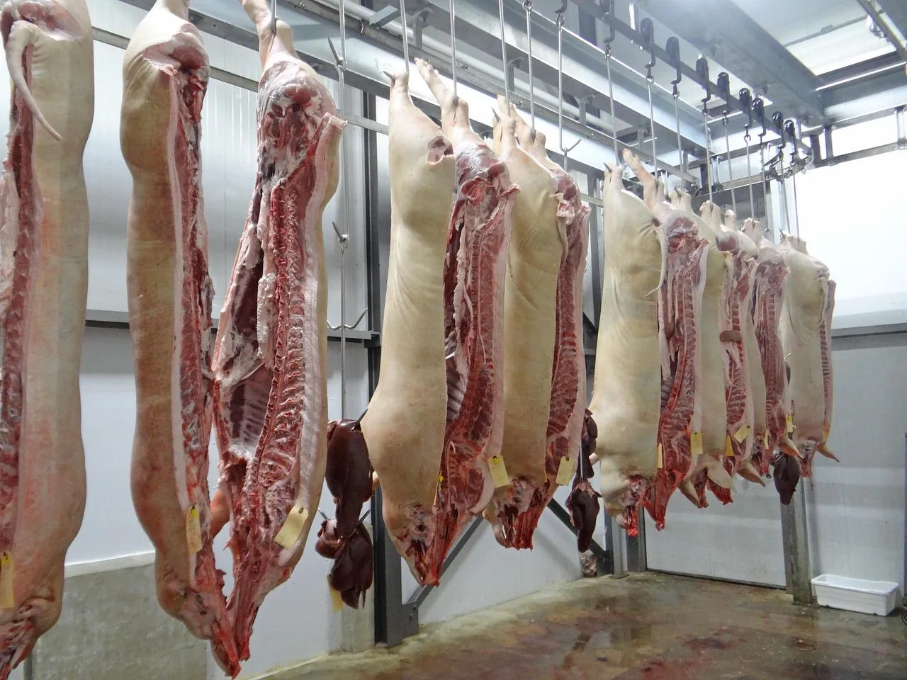 Cererea pentru carne premium: maturată, certificată, locală