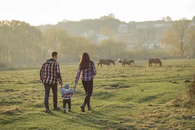 Fermele de familie: soluții pentru modernizare și asociere