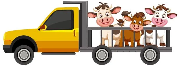 Exportul de carne: ce piețe emergente caută produse românești în 2025