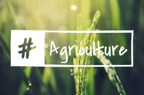 Economic and normative instruments for agricultural policy post-2025: an integrative approach