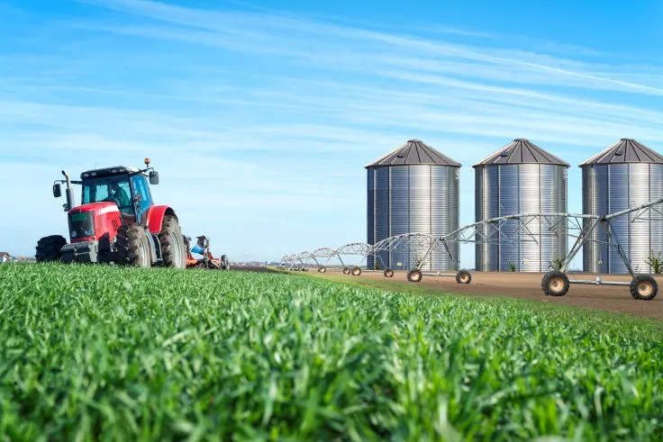 Premierul Ilie Bolojan a avut miercuri, la Palatul Victoria, o întâlnire cu reprezentanții marilor producători și procesatori din domeniul agricol...