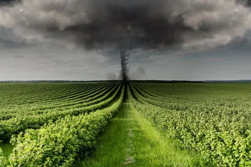 Climate change and global agriculture: impact on food security