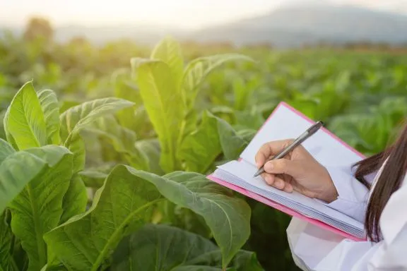 România își consolidează poziția privind viitoarea Politică Agricolă Comună post-2028