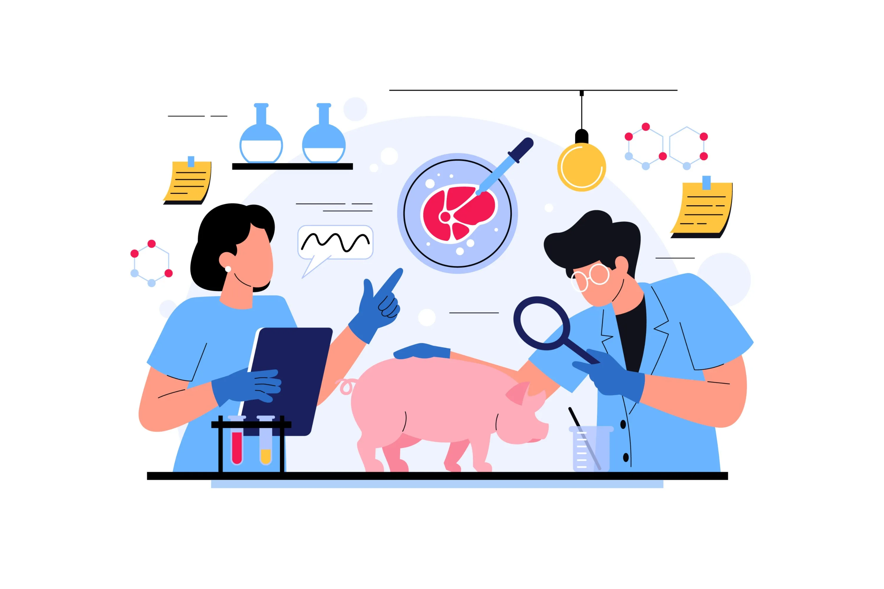 Rolul politicilor publice în securitatea alimentară: evaluarea CE și OECD pentru 2025