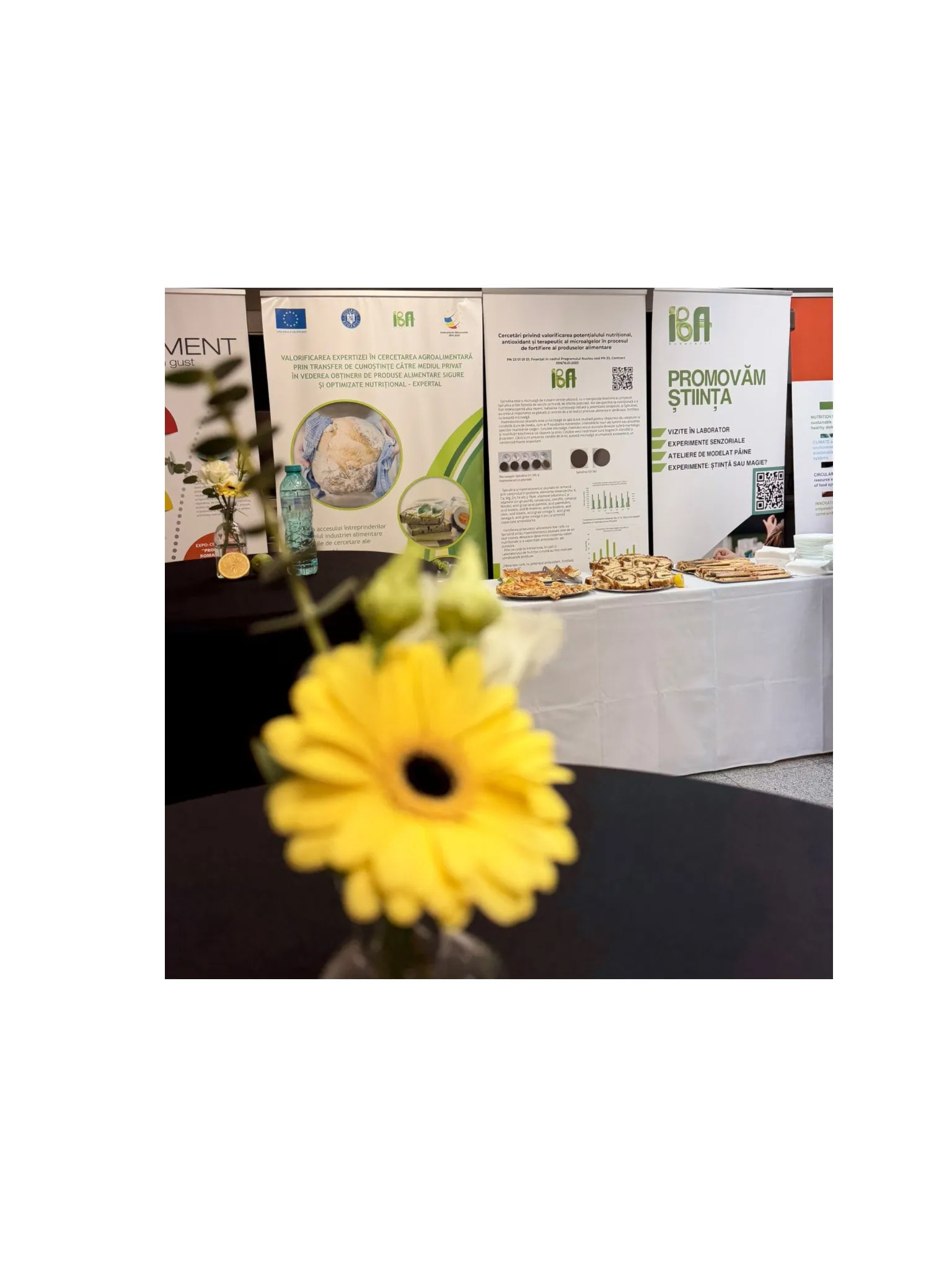 IBA Food Safety 2025 & Nastasia Belc — o viziune cu pasiune și responsabilitate