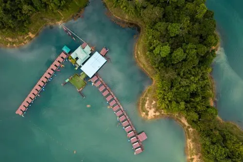 Crapul românesc: potențial productiv, presiune din importuri și necesitatea modernizării