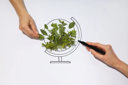 Cooperare academică și dialog internațional la MADR pentru dezvoltarea lanțurilor agroalimentare sustenabile