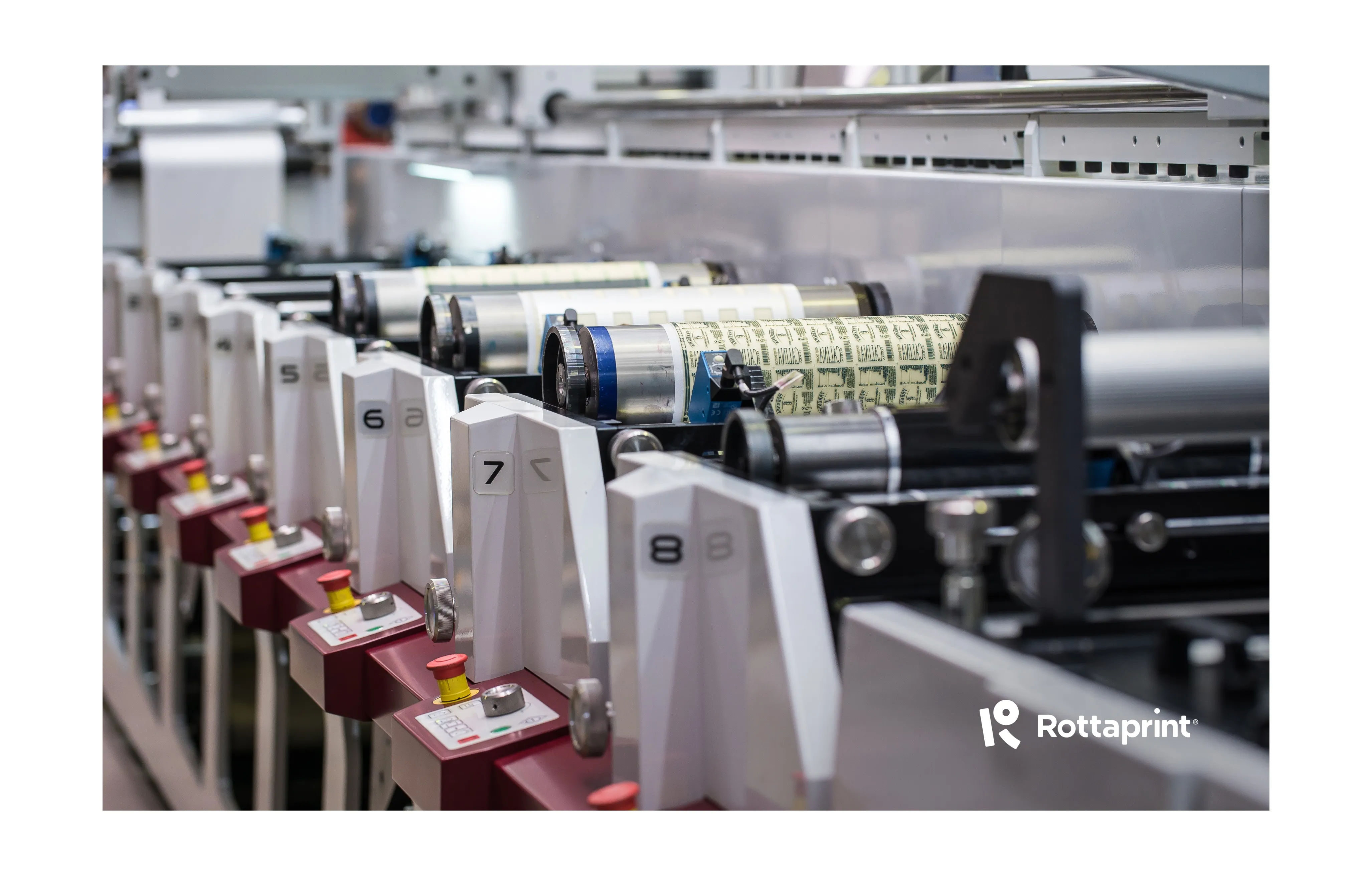 Rottaprint, partener Meat.Milk. 2026: Expertiză și soluții de ambalare moderne pentru provocările industriei cărnii și lactatelor