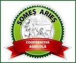 https://somesaries.ro/