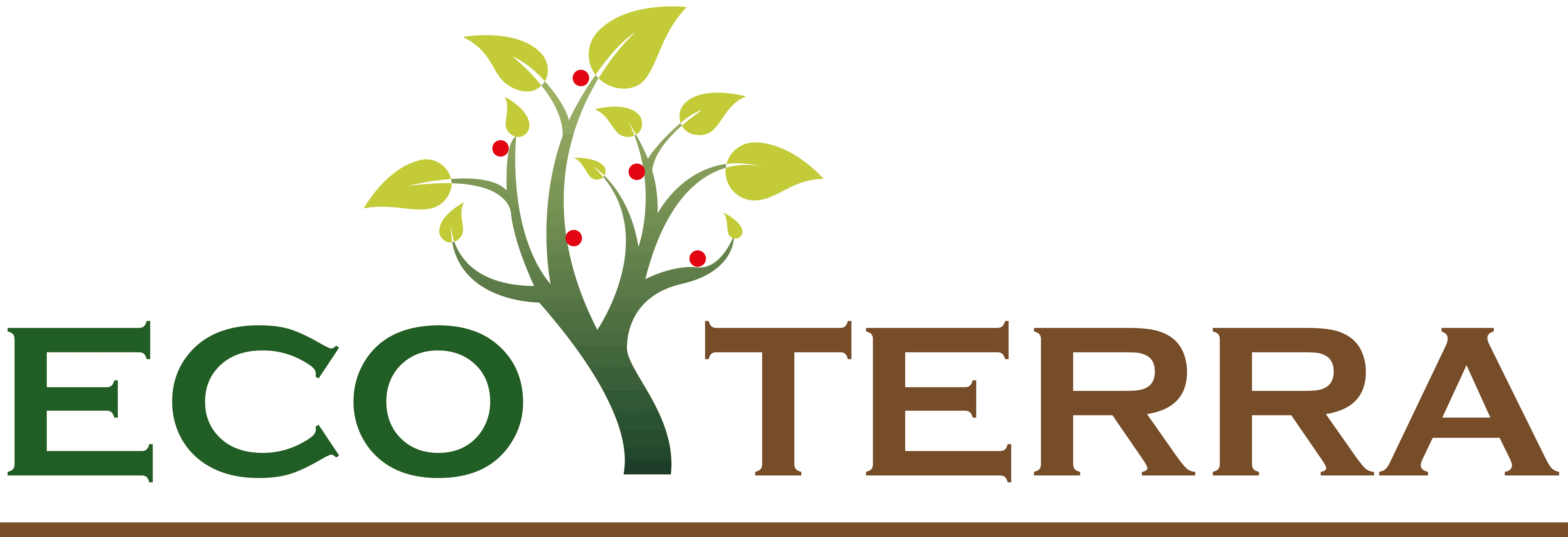 https://ecoterrabiogas.ro/