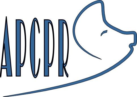 Vicepreședinte APCPR