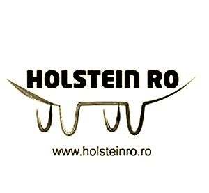 https://holsteinro.ro/
