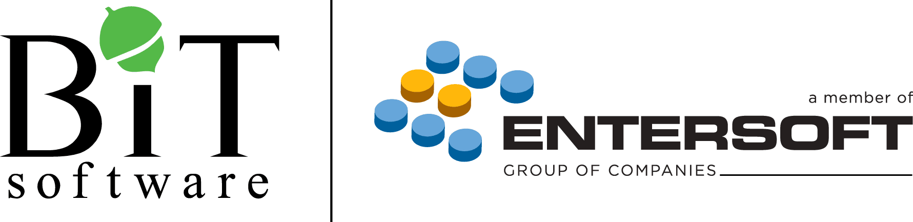 https://www.bitsoftware.eu/en/home-en/