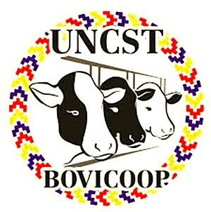 Director Executiv Bovicoop