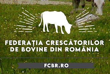 https://fcbr.ro/